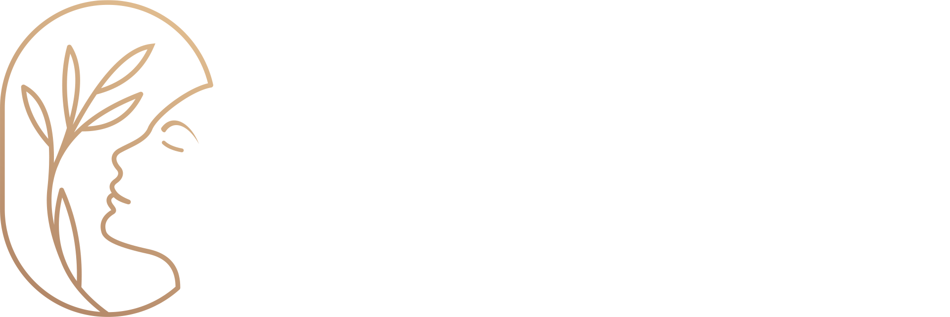 pmu-financing-logo-v3 pmu-financing-logo-v3